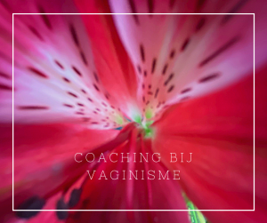 Coaching en behandeling van vaginisme